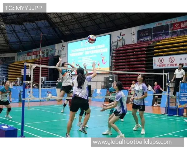 南京排球队的训练与赛事状态全解析展现排球魅力与团队精神